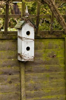 wooden nest box