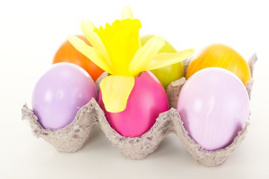 Easter eggs in an egg carton
