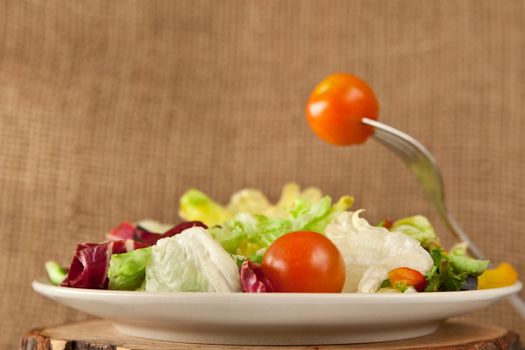 salad on hessian