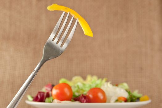Fresh mixed salad