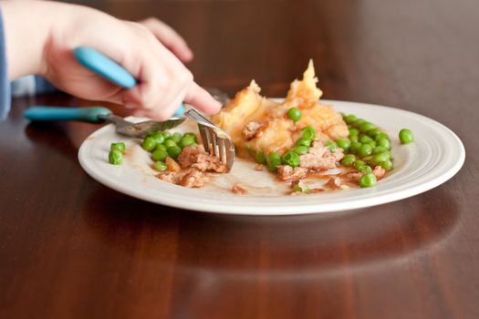 child eating a meal
