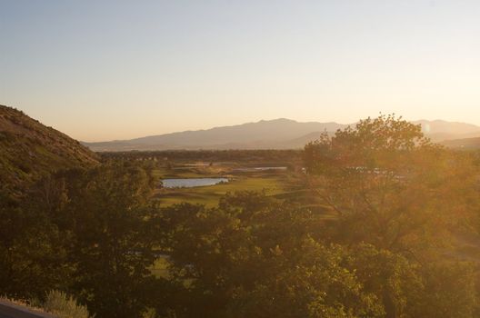 looking down on golf course over the top of trees and foliage with bright sunshine from the side