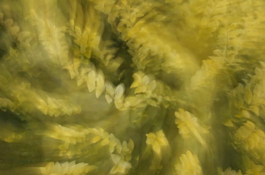 bright yellow plant with spinning effect