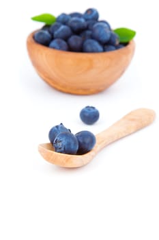 fresh blueberry in a wooden spoon, over a white background.