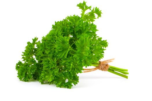 parsley tied with an cord band in white background.