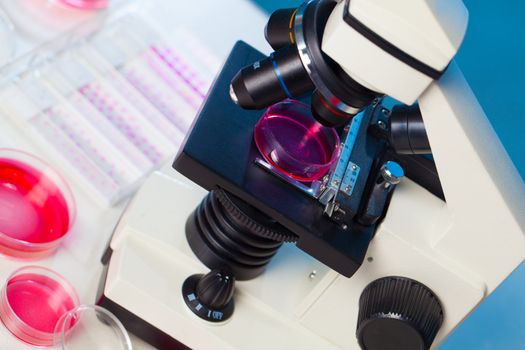 microscope and petri dishes in a lab