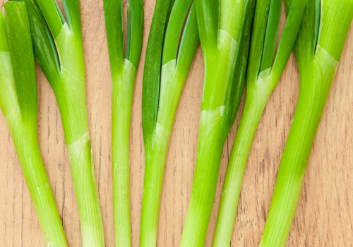 fresh green spring onions
