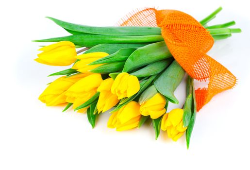 yellow tulip flowers bouquet isolated on white background