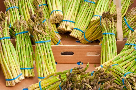 fresh asparagus