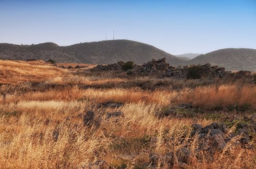 Yellow grass on the hill