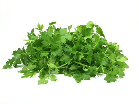 fresh italian parsley on white background