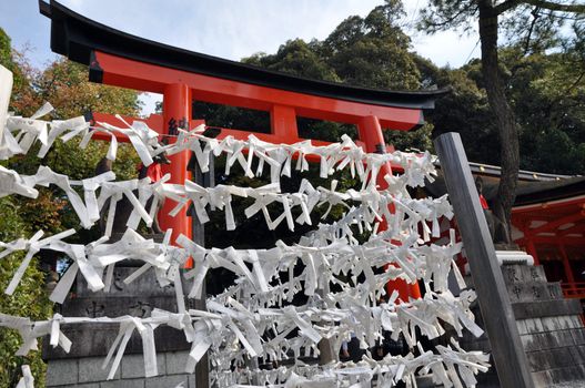 Wooden Torii Gates at Fushimi Inari Shrine, Kyoto, Japan 