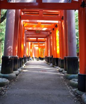 Fushimi Inari Taisha Shrine in Kyoto, Japan, This shrine is the head shrine of Inari the god of rice and patron of businesses 