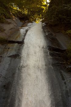 Falling water in the woods over a gray rock