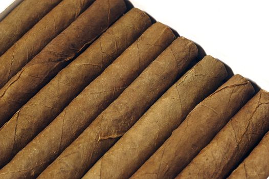 cigars