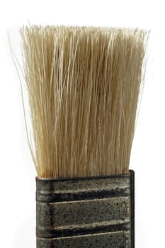 brush on white zone