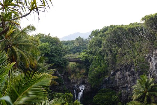 Bridge in Maui on the Road to Hana
