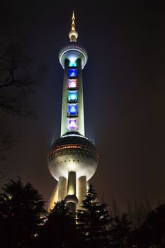 Shanghai TV Tower at Night with Black Trees Pudong China