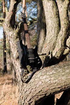 There is an electric guitar on the tree