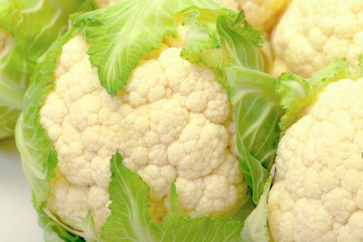 Heads of Cabbage Cauliflower closeup