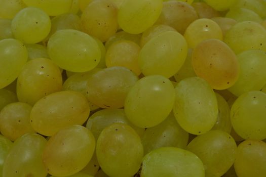 The fresh green grape  background