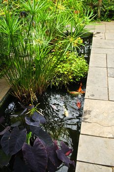 Lush green garden with stone landscaping and koi pond