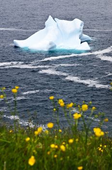 Melting iceberg off the coast of Newfoundland, Canada