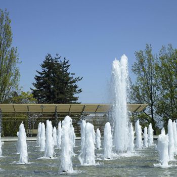 Water fountains in a park