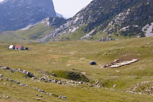 Green valley in Durmitor mountain - Montenegro.