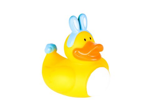 Rubber duckies wearing blue Easter bunny ears and tail.  Isolated on White.