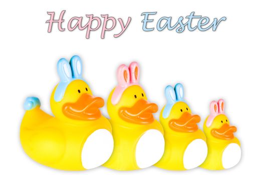 Family of four Rubber duckies with pink and blue Easter bunny ears and tail.  Isolated on White.