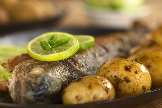 Fried trout with lime slices and potatoes with parsley in lime juice (Selective Focus, Focus on the front of the lime slice on the fish)