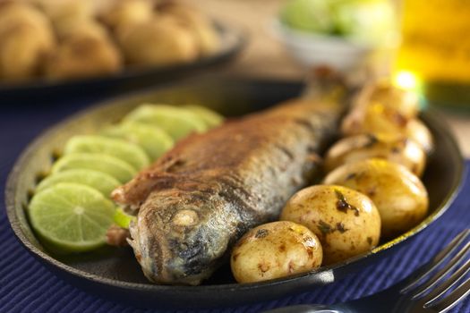 Fried trout with lime slices and potatoes with parsley in lime juice (Selective Focus, Focus on the eye of the fish)