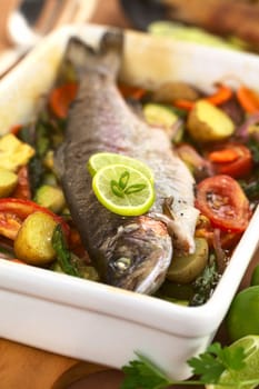 Baked trout and vegetables (Selective Focus, Focus on the front of the lime slice on the fish)