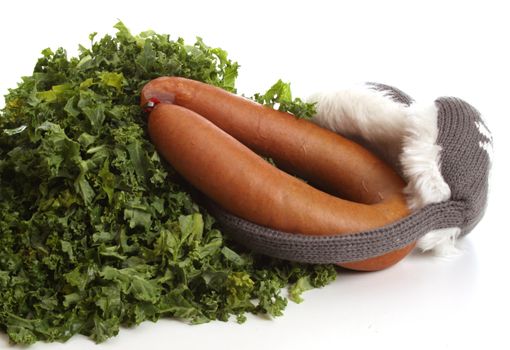 Healthy fresh borecole in a typical Dutch setting