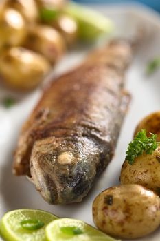 Fried trout with lime slices and potatoes with parsley in lime juice (Selective Focus, Focus on the eye of the fish)