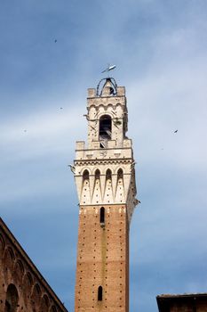 The main tower of Siena in summer day
