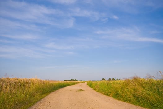 country road trough farmlandscape with a blue sky 
