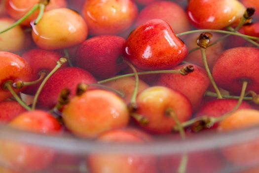 cherries in water