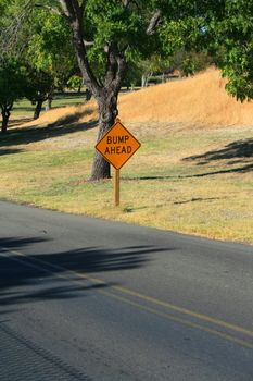 Bump ahead road sign next to a road.
