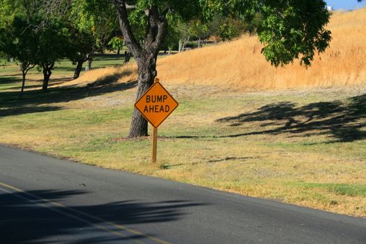 Bump ahead road sign next to a road.
