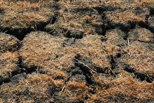 Close up of a dry and cracked earth showing unique pattern.
