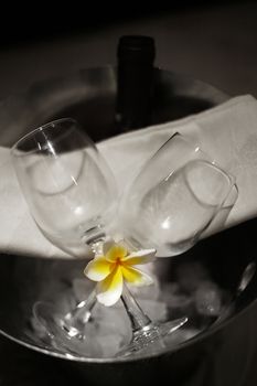 Two glasses and a flower Frangipani