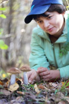 girl collect brown cap boletus on forest
