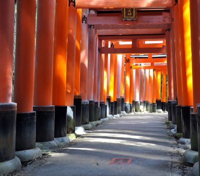 Fushimi Inari Taisha shrine in Kyoto prefecture of Japan. Famous shinto shrine with thousands of vermilion torii gates. 