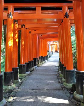 Tunnel of thousand torii gates in Fushimi Inari Shrine, Kyoto, Japan 