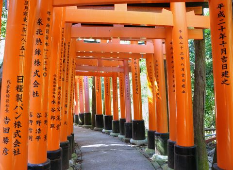Tunnel of thousand torii gates in Fushimi Inari Shrine, Kyoto, Japan 