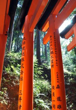 Fushimi Inari Shrine, Kyoto, Japan