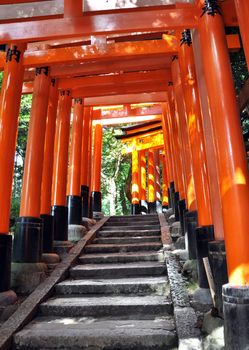 Tunnel of thousand torii gates in Fushimi Inari Shrine, Kyoto, Japan 