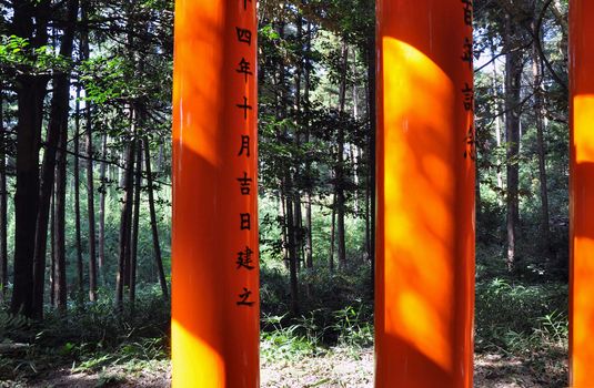 Column of Torii gates againts the nature at Fushimi Inari Shrine in Kyoto, Japan. 